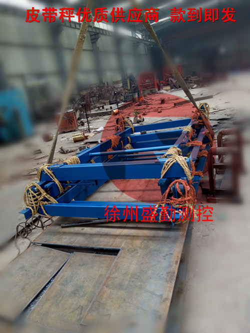 照片 781_副本_副本.jpg 皮帶秤發(fā)貨-河北生物發(fā)電項目