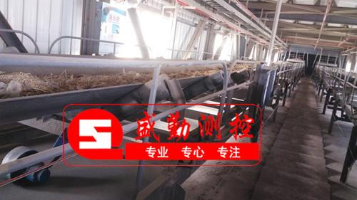 河南皮帶秤現(xiàn)場(生物質) 河南皮帶秤現(xiàn)場(生物質)